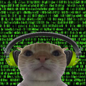 A cat wearing headphones in front of a Matrix-style background.